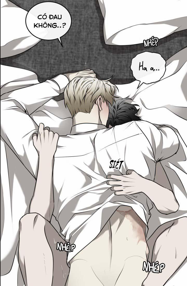 Vivarium 25 trang 22