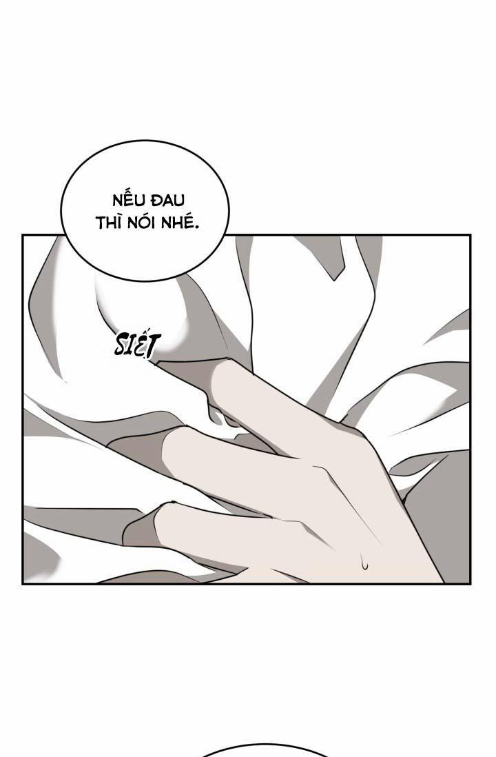 Vivarium 25 trang 24