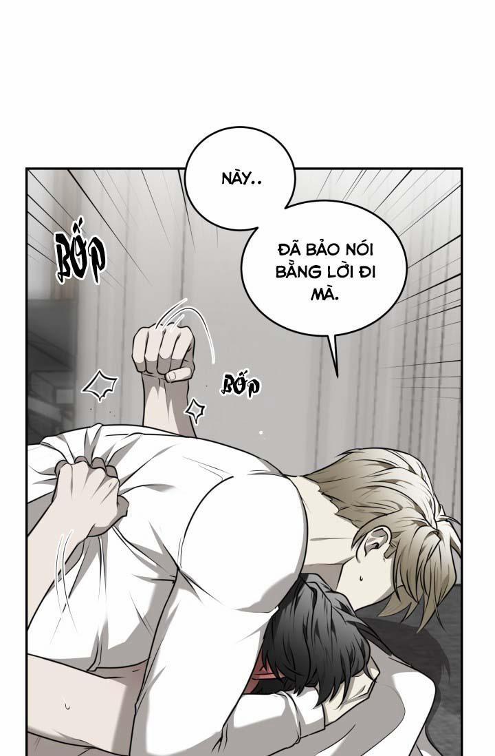 Vivarium 25 trang 27