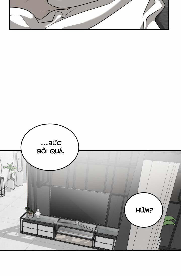 Vivarium 25 trang 28