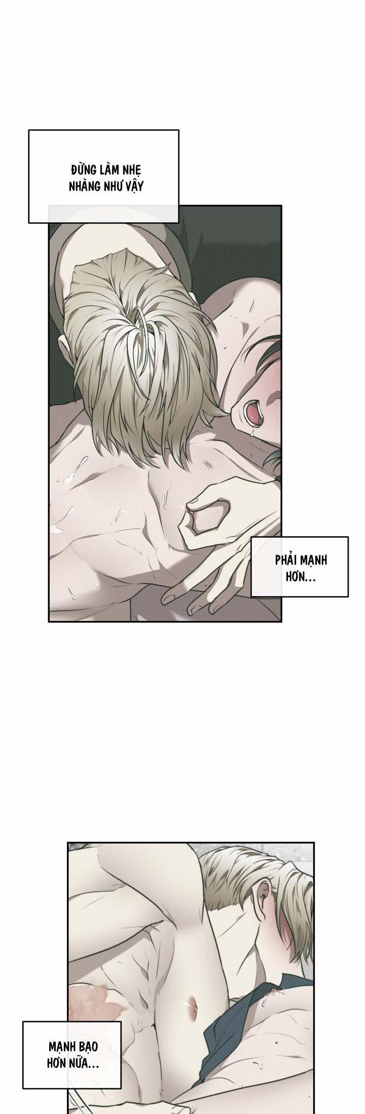 Vivarium 25 trang 29