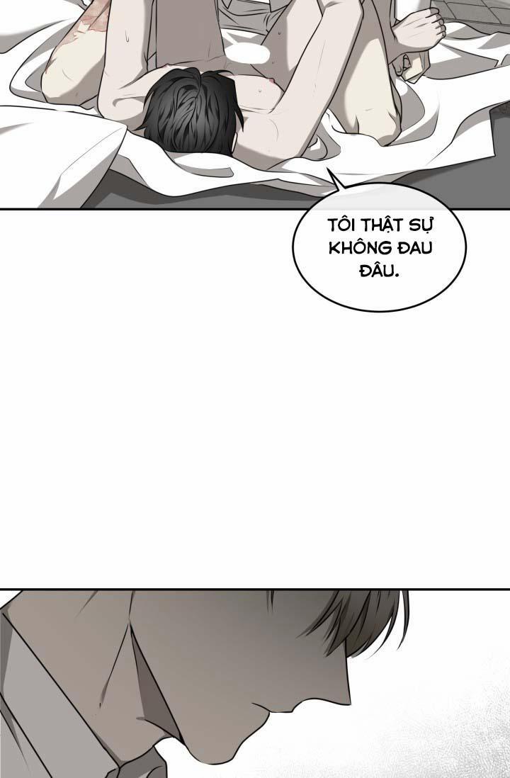 Vivarium 25 trang 42