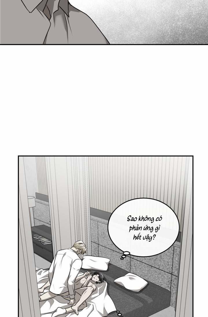 Vivarium 25 trang 43