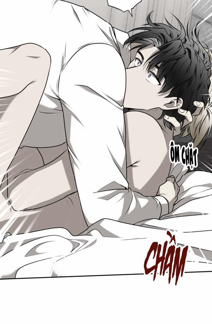 Vivarium 25 trang 45