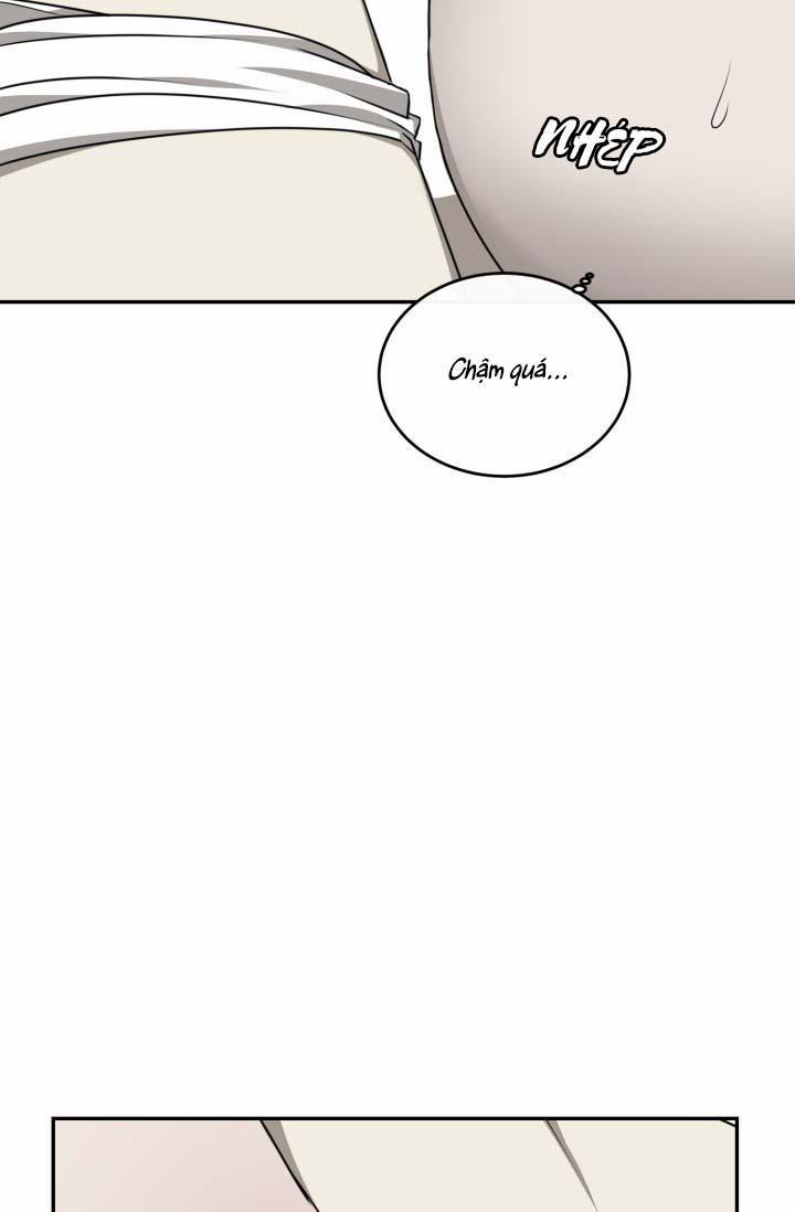 Vivarium 25 trang 49