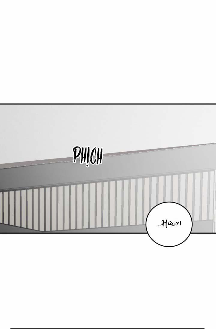 Vivarium 25 trang 51