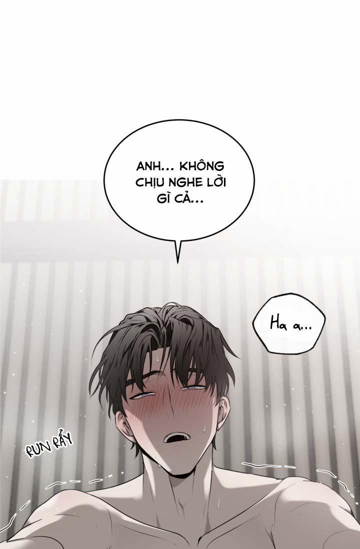 Vivarium 25 trang 53