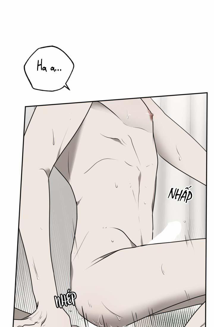 Vivarium 25 trang 55