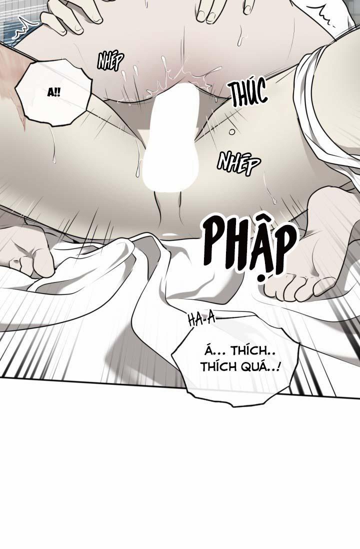 Vivarium 25 trang 62