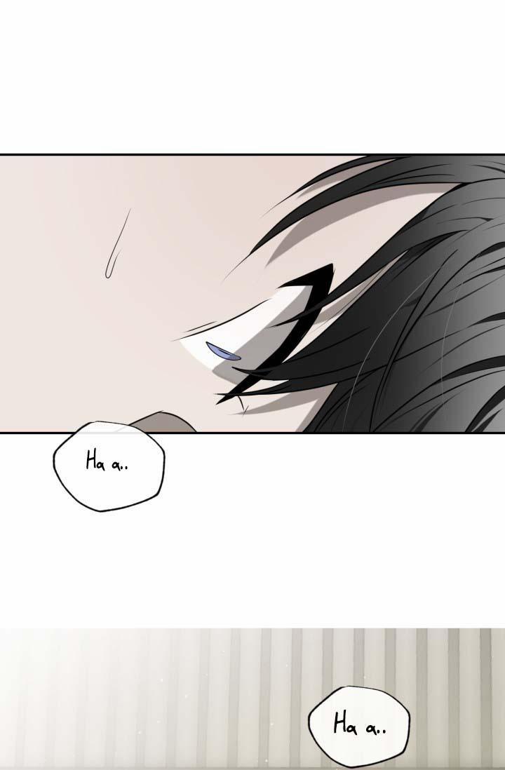 Vivarium 25 trang 68