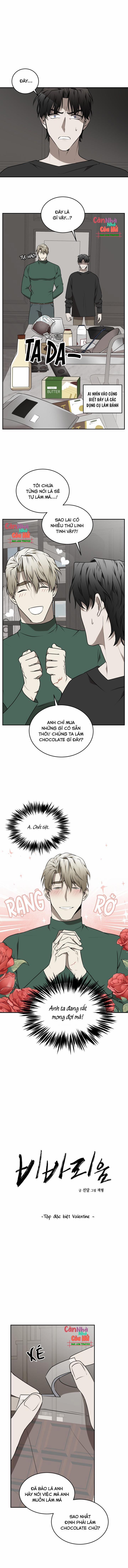 Vivarium 26.1 trang 0