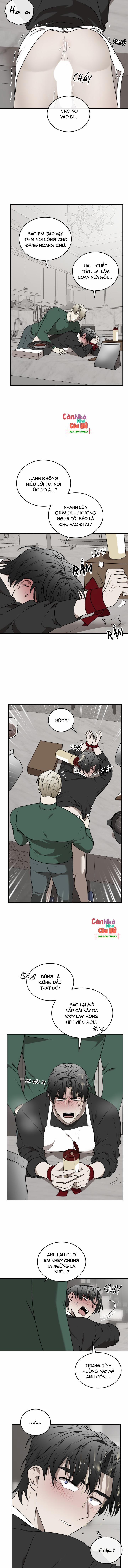 Vivarium 26.1 trang 6