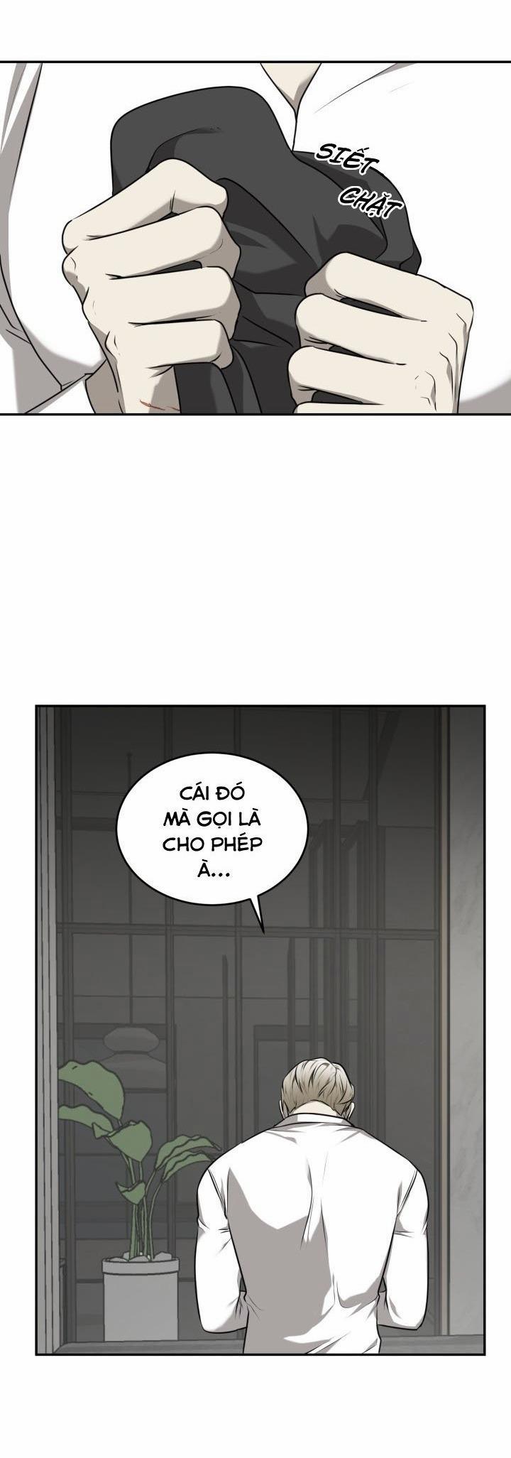 Vivarium 26 trang 13