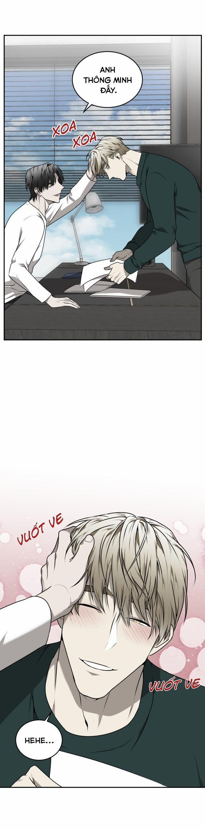 Vivarium 26 trang 25