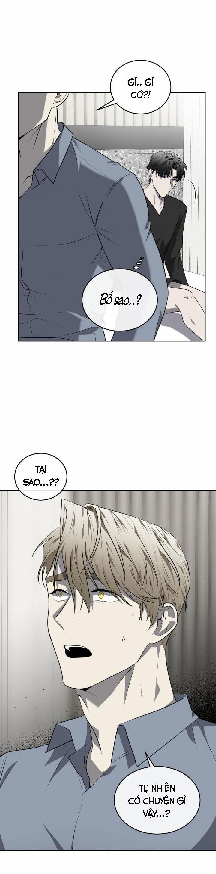 Vivarium 29 trang 10