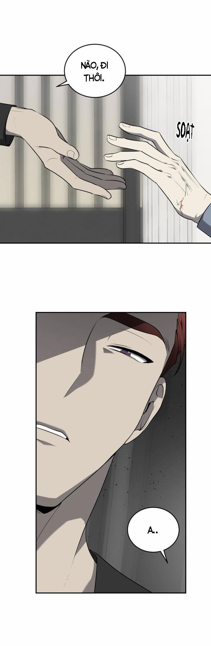 Vivarium 29 trang 12