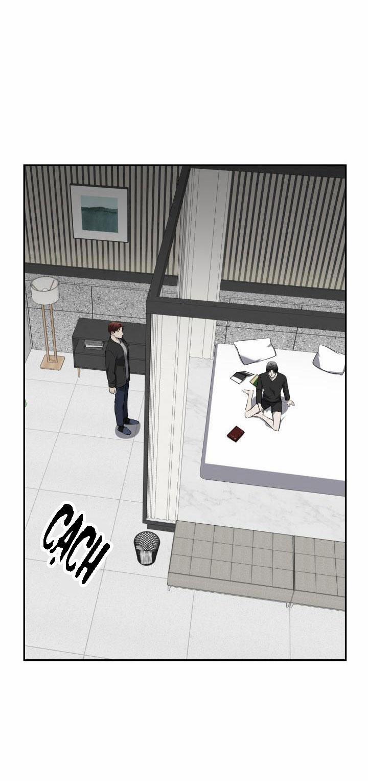 Vivarium 29 trang 16