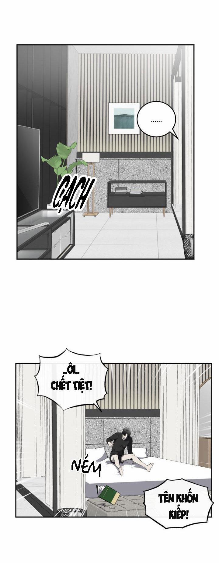 Vivarium 29 trang 19