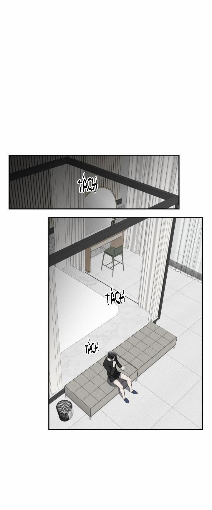 Vivarium 29 trang 25