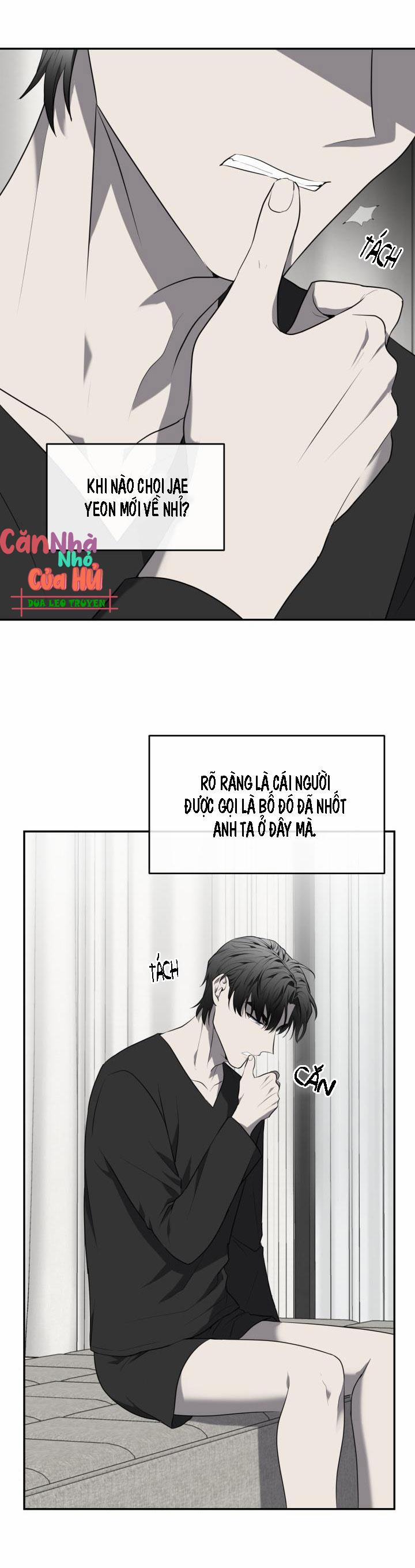 Vivarium 29 trang 26