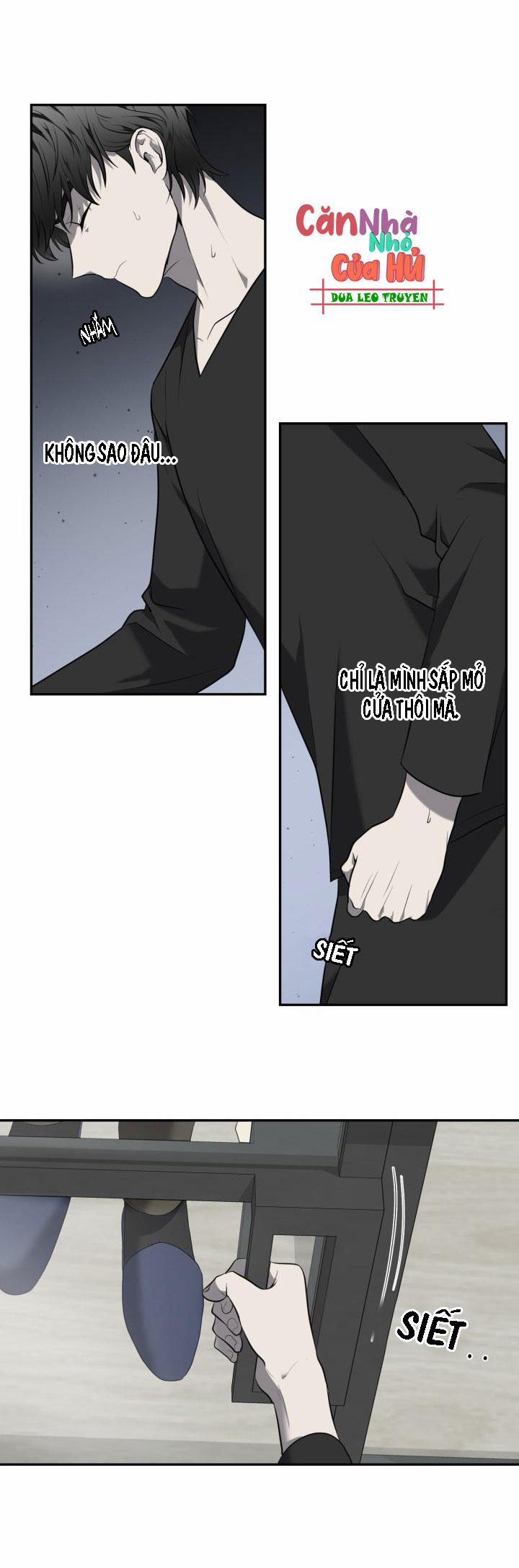 Vivarium 29 trang 32