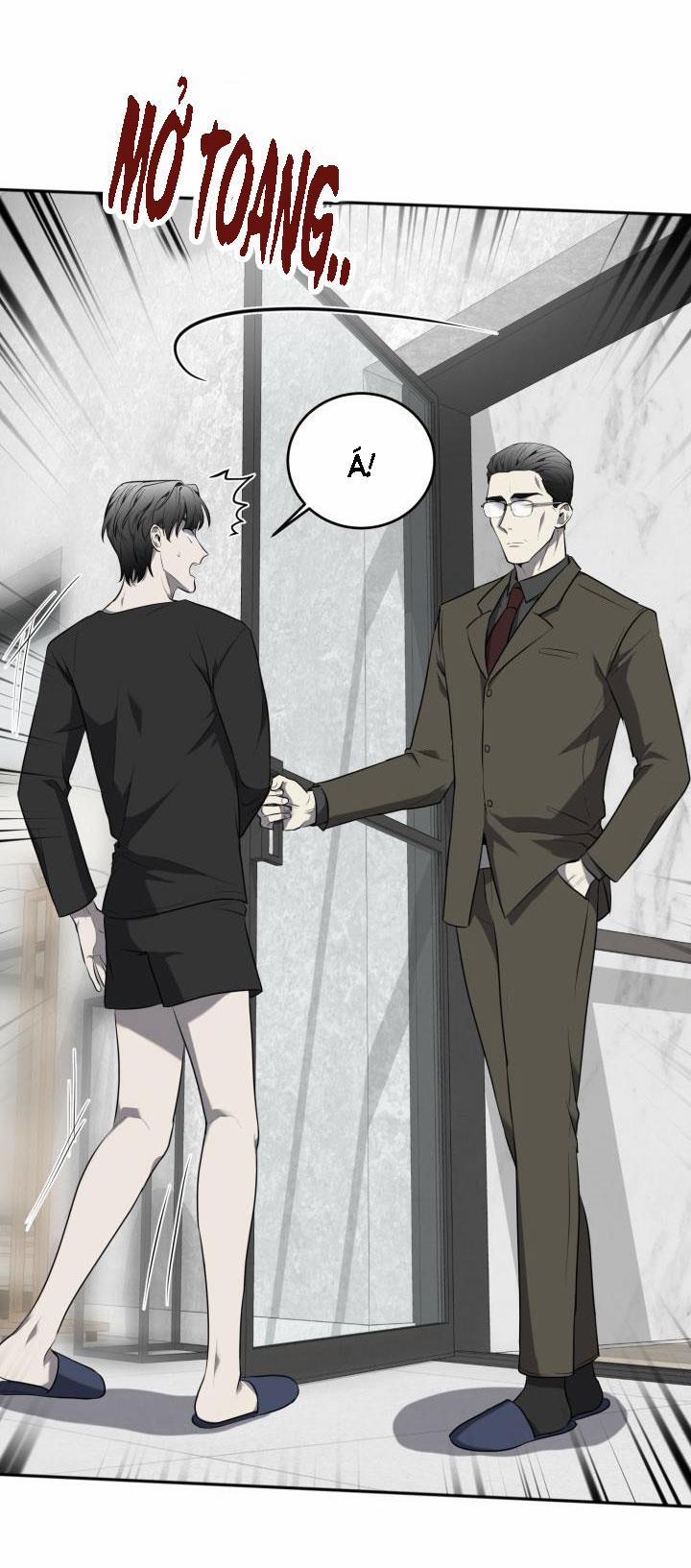 Vivarium 29 trang 33