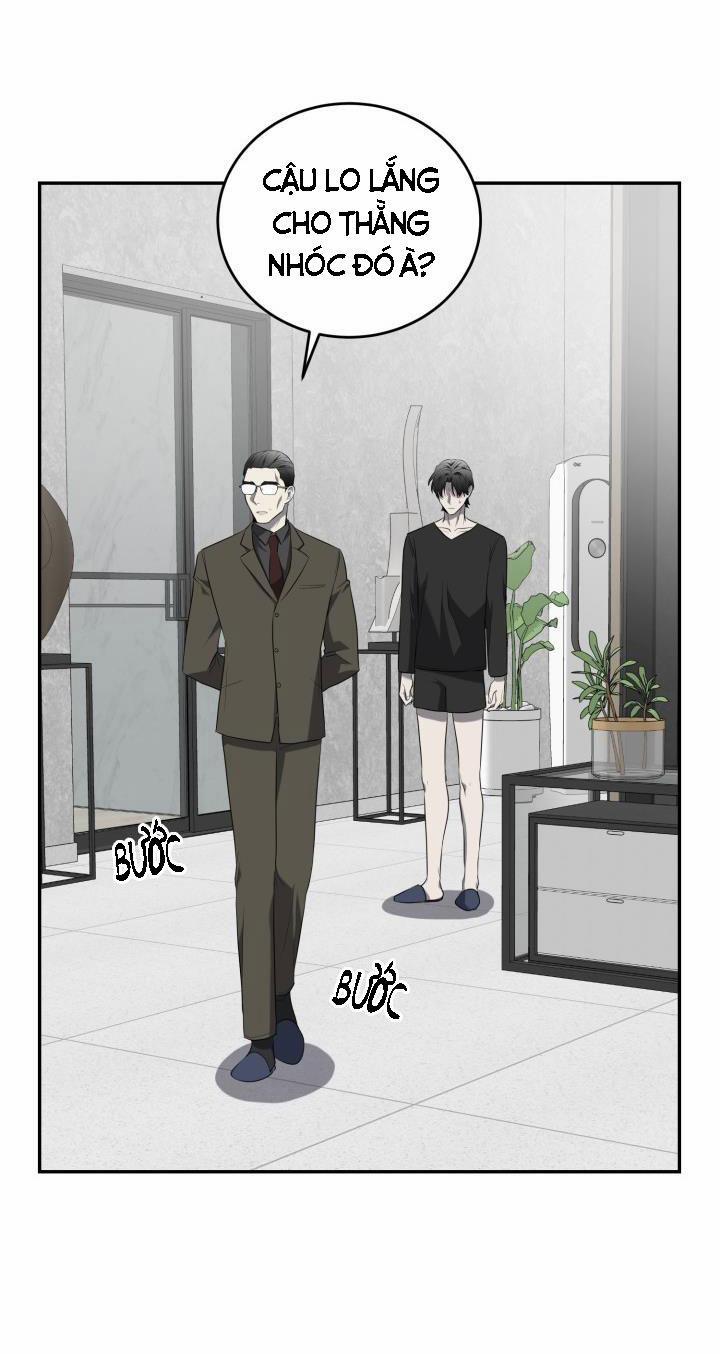 Vivarium 29 trang 38