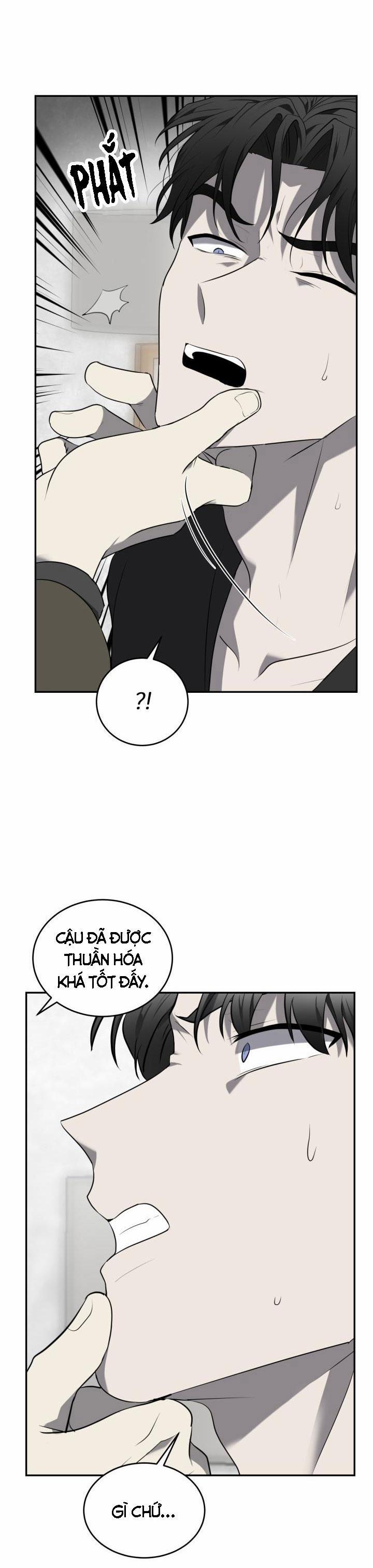 Vivarium 29 trang 41