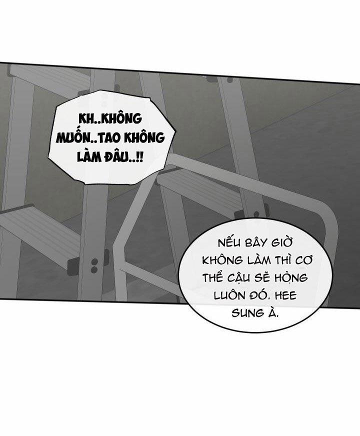 Vivarium 3.5 trang 11