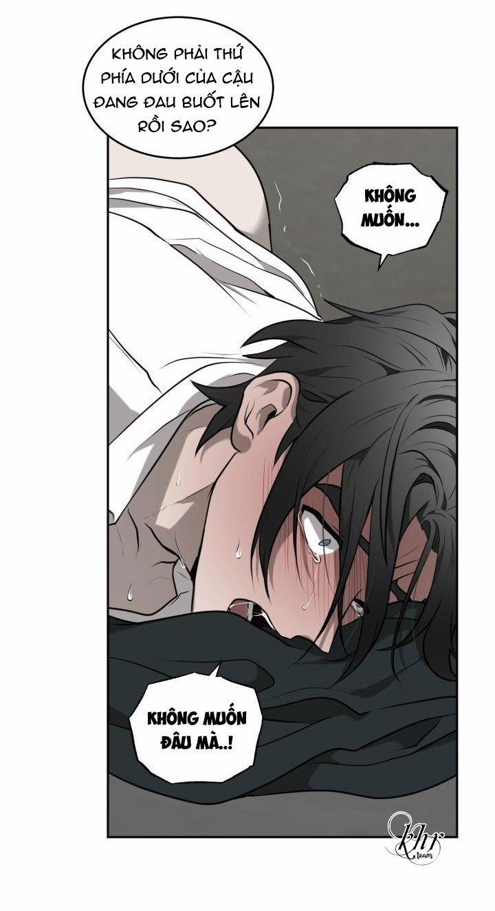 Vivarium 3.5 trang 12