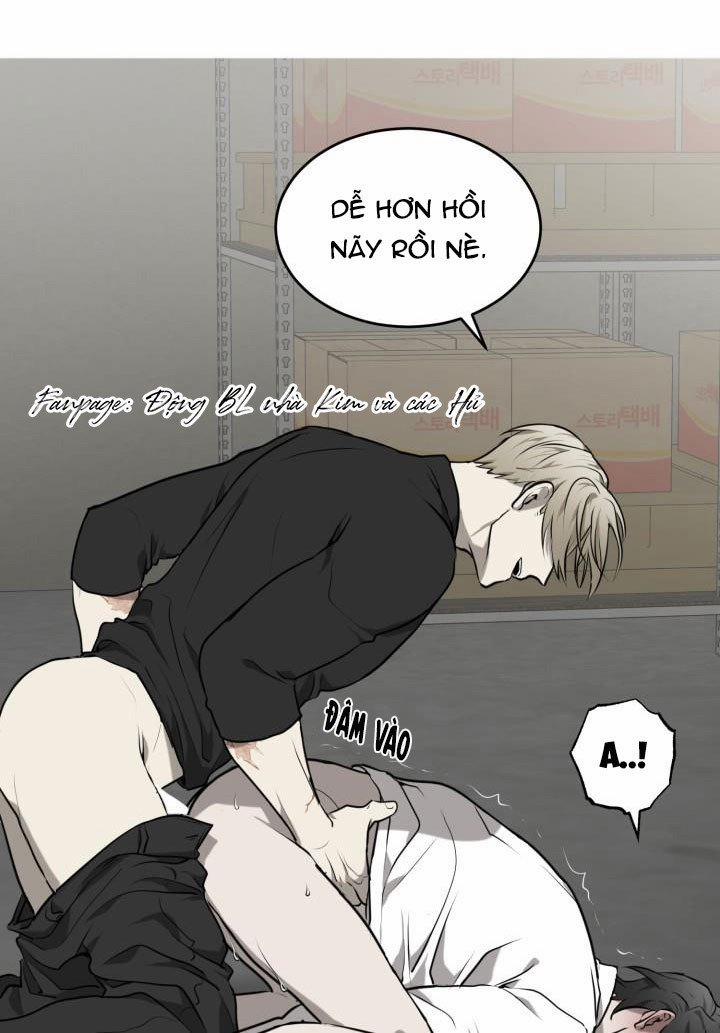 Vivarium 3.5 trang 13