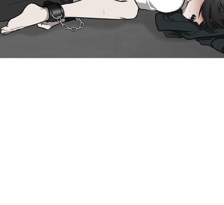 Vivarium 3.5 trang 14