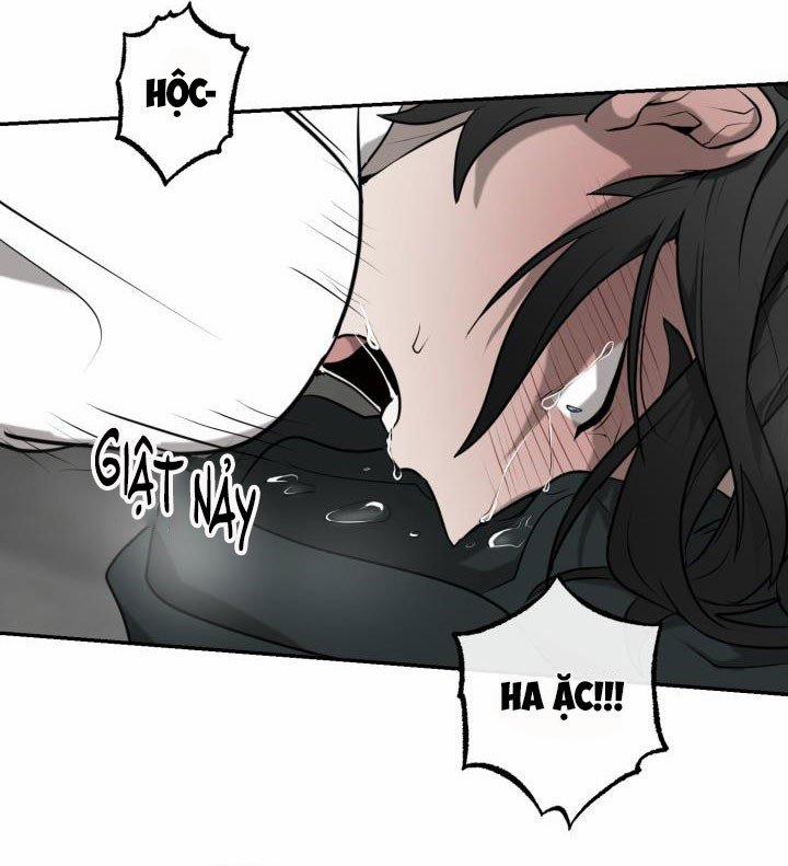 Vivarium 3.5 trang 16