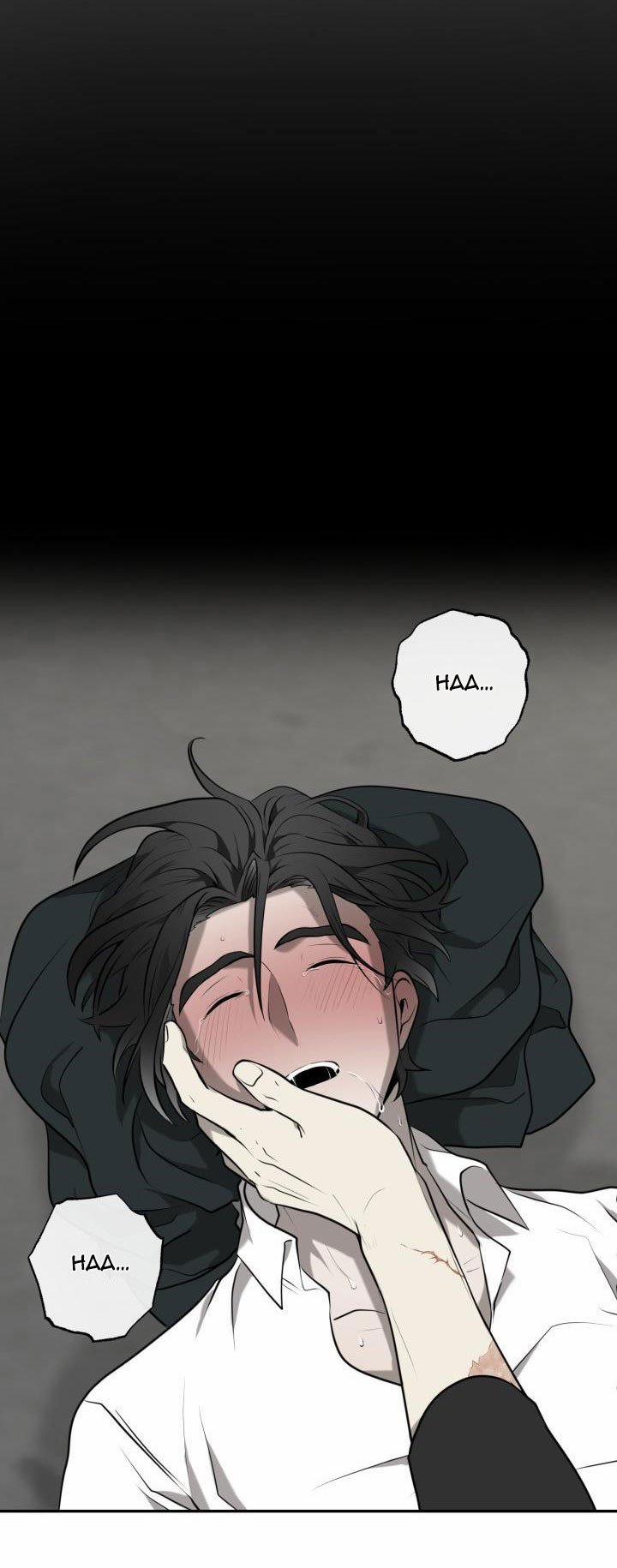 Vivarium 3.5 trang 19