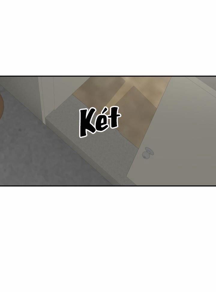 Vivarium 3.5 trang 22