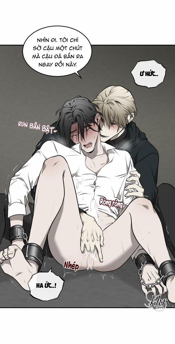 Vivarium 3.5 trang 3