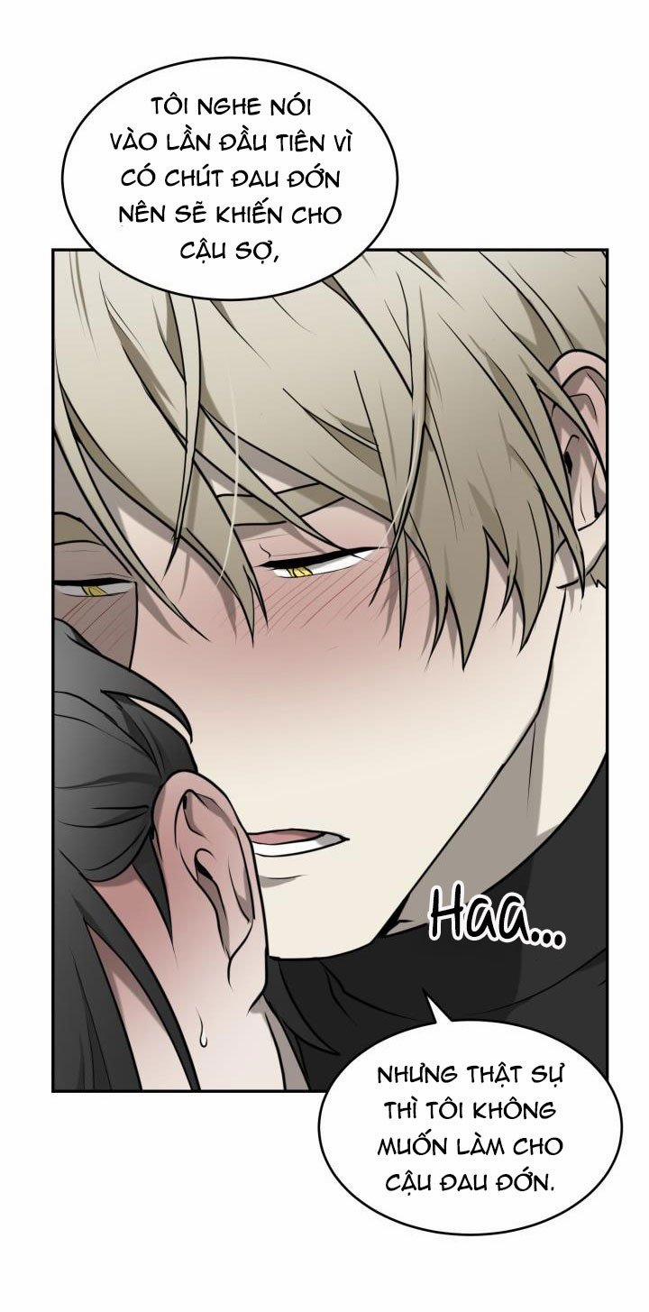 Vivarium 3.5 trang 4