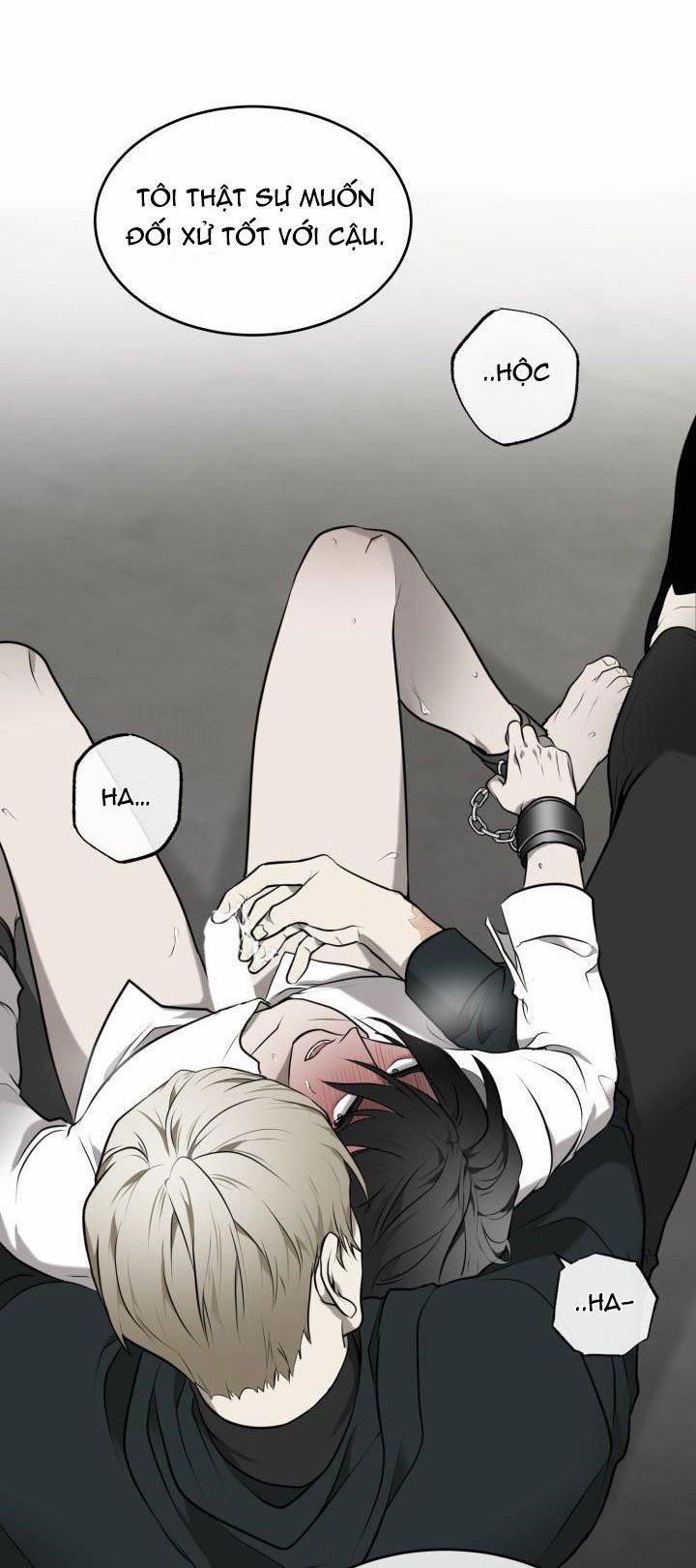 Vivarium 3.5 trang 5