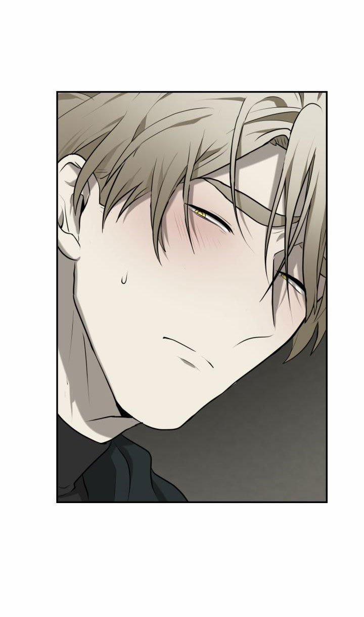 Vivarium 3.5 trang 7