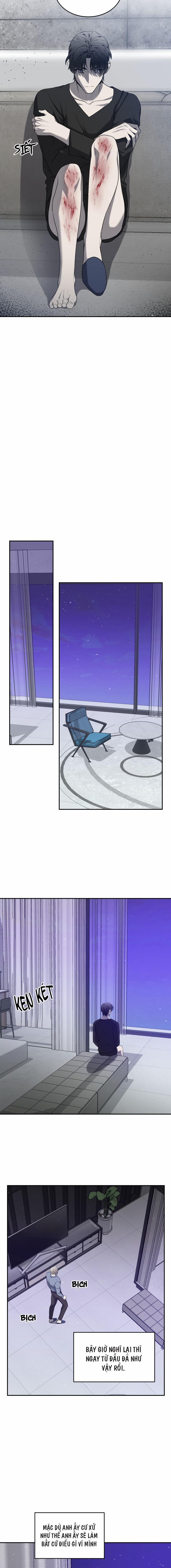 Vivarium 31 trang 10