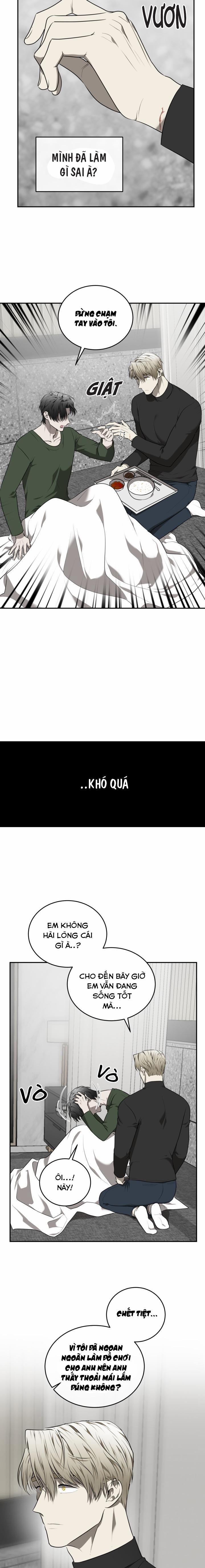 Vivarium 31 trang 14