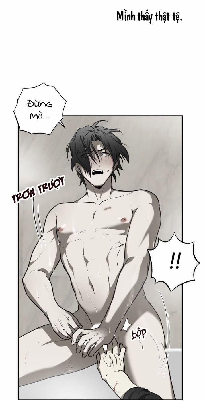 Vivarium 4.5 trang 11