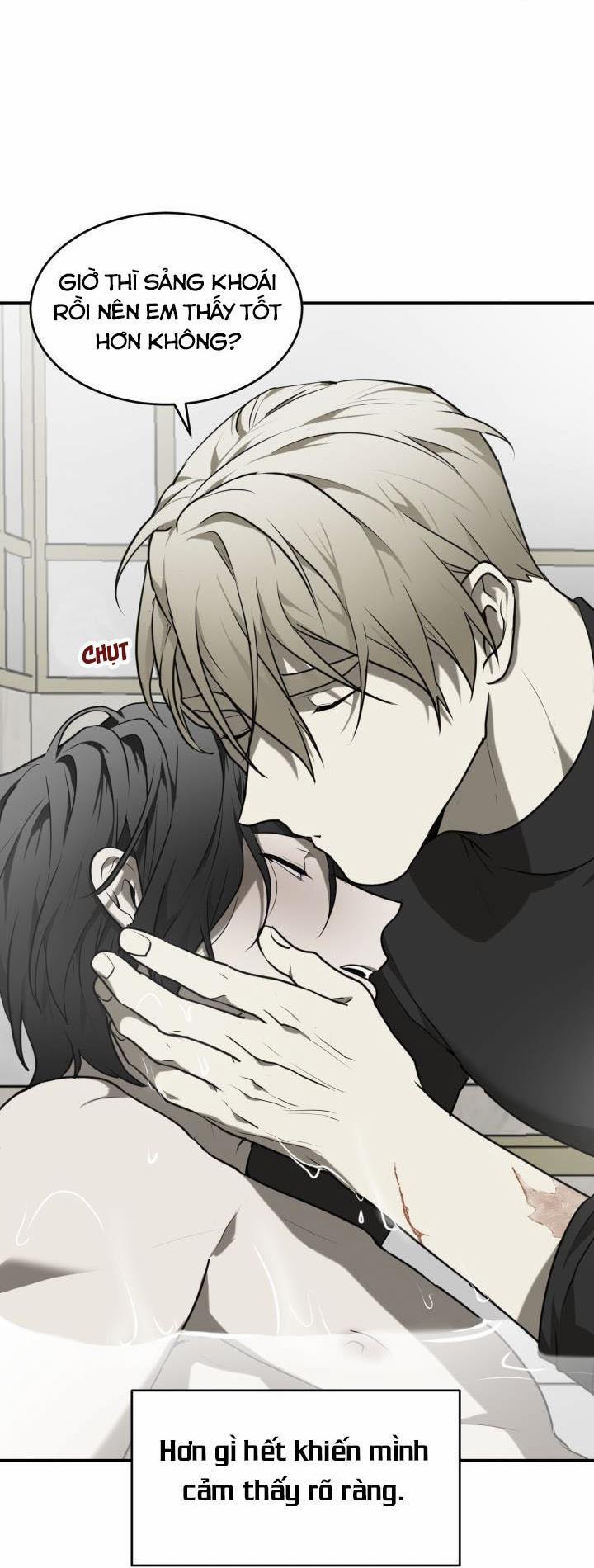 Vivarium 4.5 trang 17