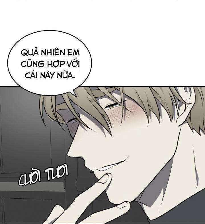 Vivarium 4.5 trang 34