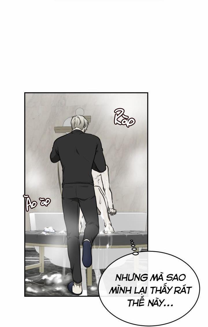 Vivarium 4.5 trang 4