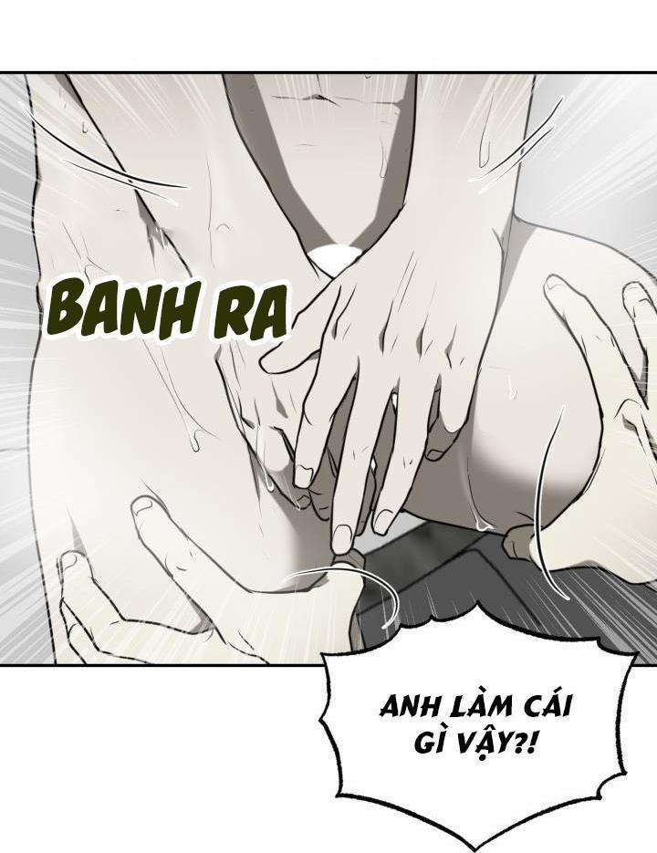 Vivarium 4.5 trang 8