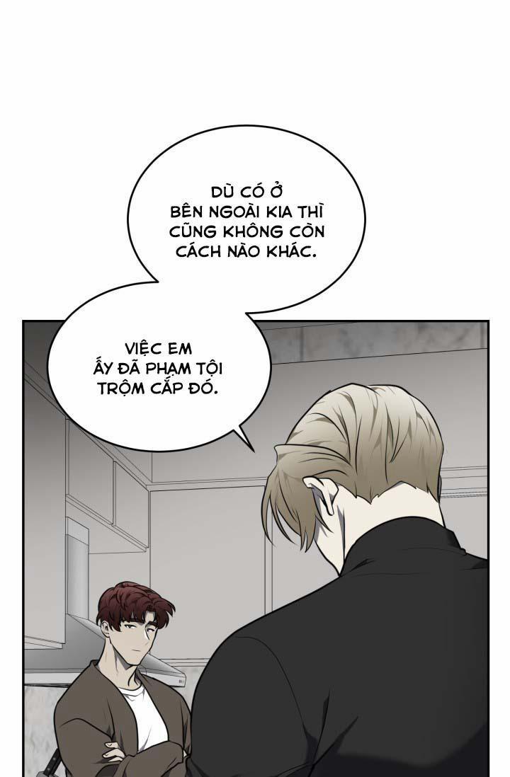 Vivarium 5.5 trang 23