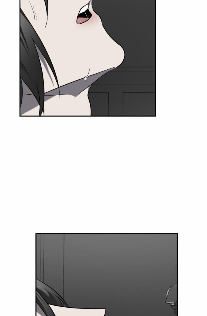 Vivarium 5.5 trang 7