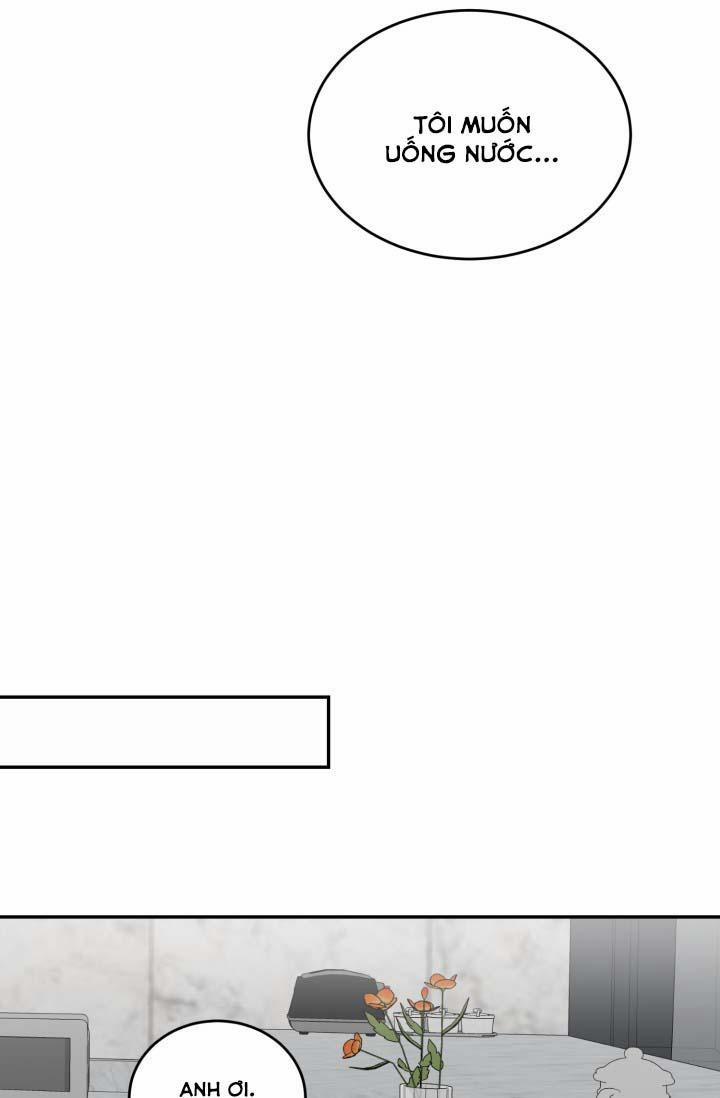 Vivarium 5.5 trang 9