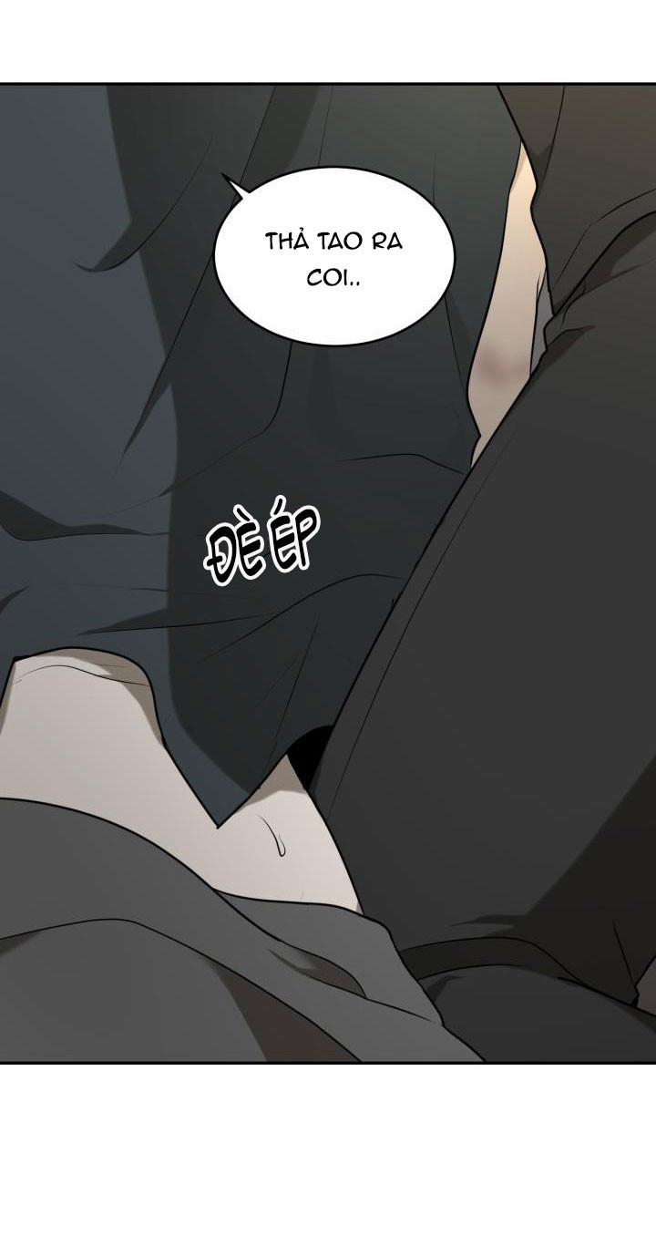 Vivarium 6.5 trang 11